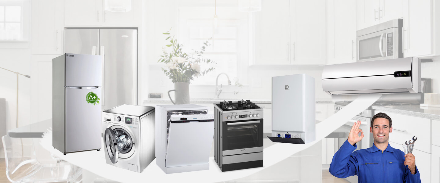 Karabağlar Silverline Servisi